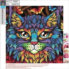 Teemantmosaiigikomplekt Cat, 30x30 cm цена и информация | Алмазная мозаика | kaup24.ee