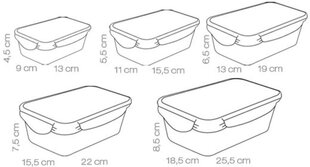 Tescoma Freshbox toidu säilitusnõu, 5 tk. цена и информация | Посуда для хранения еды | kaup24.ee