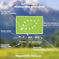 Gluteenivaba riisipasta TORUKESED Fleur Alpine kogu perele, 250 g hind ja info | Makaronid | kaup24.ee