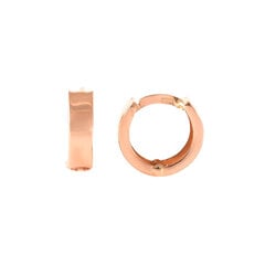 Золотые серьги - кольца ZAG471/1 цена и информация | Серьги | kaup24.ee