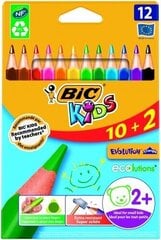 Цветные карандаши BIC CEV.TRIANG.CBW 10 + 2 EU, 12 цветных карандашей, 214842 цена и информация | Принадлежности для рисования, лепки | kaup24.ee