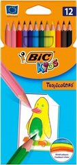 BIC Colored pencils CP TROPICOLORS, set 12 pcs, 12 colored pencils, 022503 hind ja info | Kunstitarbed, voolimise tarvikud | kaup24.ee