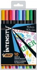 Viltpliiatsite komplekt FineLiners Intensity Fine 0,4 mm, 10 värvi CEL1011727 hind ja info | Kirjutusvahendid | kaup24.ee