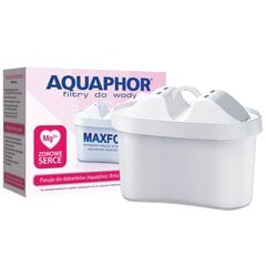 Фильтр для воды Aquaphor B100-25 Maxfor Mg+ цена и информация | Фильтры для воды | kaup24.ee