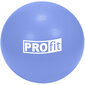 Võimlemispall Profit, 45 cm hind ja info | Võimlemispallid | kaup24.ee