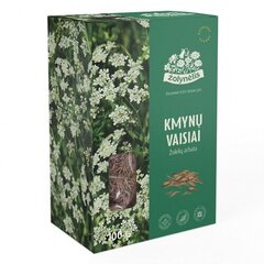 Травяной чай Тмин, 100 г цена и информация | Чай | kaup24.ee