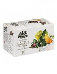 Чай Grass Fruit tea Летний вкус с мятой и цитрусовыми, 50 г (2,5 г x20) цена и информация | Чай | kaup24.ee