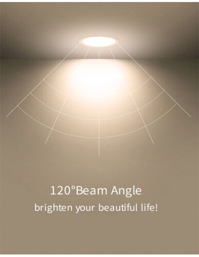 Lamp Build-in LED, 18W, 205 mm hind ja info | Rippvalgustid | kaup24.ee