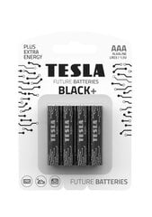 <p>Батарейки Tesla AAA Black + LR03, 4 шт.</p>
 цена и информация | Батерейки | kaup24.ee