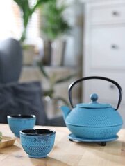 Японский чугунный чайник, зеленовато-голубой, 0.8 л цена и информация | Чайники, кофейники | kaup24.ee