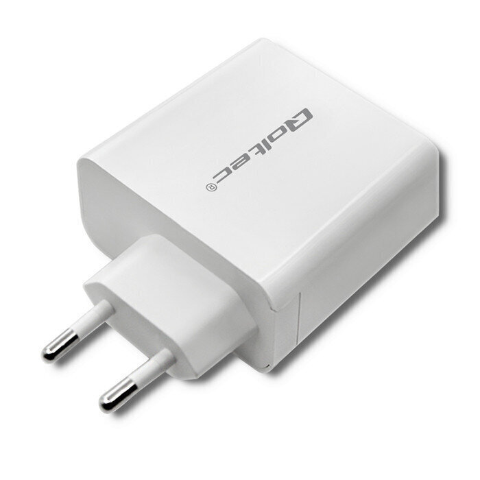 Adapter Qoltec 51715 цена и информация | Mobiiltelefonide laadijad | kaup24.ee