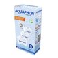 Aquaphor B25 Maxfor+ 3 цена и информация | Filterkannud ja filtrid | kaup24.ee