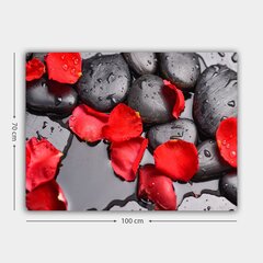 Репродукция Красные лепестки на камнях цена и информация | Картины, живопись | kaup24.ee