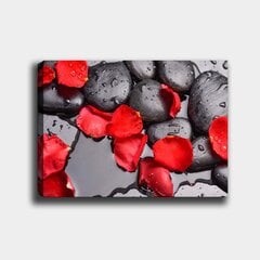 Репродукция Красные лепестки на камнях цена и информация | Картины, живопись | kaup24.ee