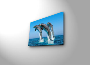 Репродукция Дельфины цена и информация | Настенные деревянные декорации | kaup24.ee