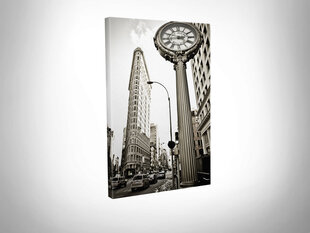 Reproduktsioon Madison Square, New York hind ja info | Seinapildid | kaup24.ee