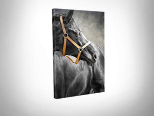 Reproduktsioon Must hobune hind ja info | Seinapildid | kaup24.ee