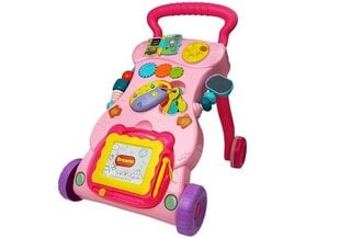 Laste liugur roosa цена и информация | Игрушки для малышей | kaup24.ee