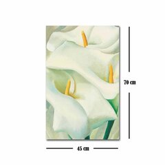 Репродукция Белые лилии цена и информация | Картины, живопись | kaup24.ee