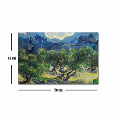 Reproduktsioon Starry Night (Vincent Van Gogh) hind ja info | Seinapildid | kaup24.ee