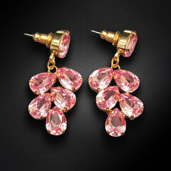 Naiste kõrvarõngad Diamond Sky „Amber II (Light Rose)“ koos Preciosa kristallidega DS02A139 hind ja info | Kõrvarõngad | kaup24.ee