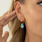 Naiste kõrvarõngad Diamond Sky „Crystal Drop (Aqua Bohemica)“ koos Preciosa kristallidega DS02A147 hind ja info | Kõrvarõngad | kaup24.ee