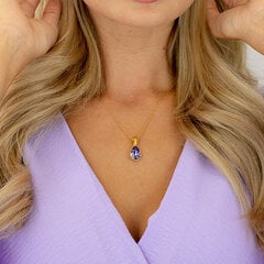 Naiste kaelakee DiamondSky "Crystal Drop (Tanzanite)" Preciosa kristallidega DS01K259 hind ja info | Kaelakeed | kaup24.ee