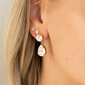 Naiste kõrvarõngad Diamond Sky „Venus IV“ koos Preciosa kristallidega DS02A152 цена и информация | Kõrvarõngad | kaup24.ee