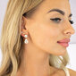 Naiste kõrvarõngad Diamond Sky „Venus IV“ koos Preciosa kristallidega DS02A152 hind ja info | Kõrvarõngad | kaup24.ee