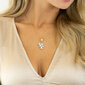 Naiste kaelakee DiamondSky "Amber II (Aurore Boreale)" Preciosa kristallidega DS01K276 hind ja info | Kaelakeed | kaup24.ee