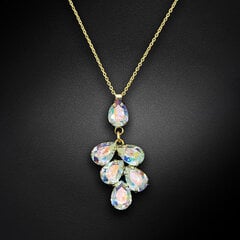 Naiste kaelakee DiamondSky "Amber II (Aurore Boreale)" Preciosa kristallidega DS01K276 hind ja info | Kaelakeed | kaup24.ee