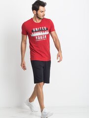 Meeste t-särk Tommy Life, punane цена и информация | Мужские футболки | kaup24.ee
