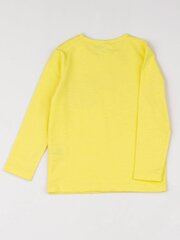 Желтая кофточка для девочки с принтом. цена и информация | Рубашки для девочек | kaup24.ee