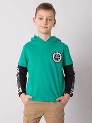TOONTOY цена и информация | Рубашки для мальчиков | kaup24.ee