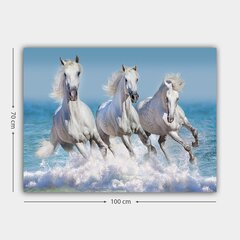 Репродукция Белые лошади цена и информация | Картины, живопись | kaup24.ee