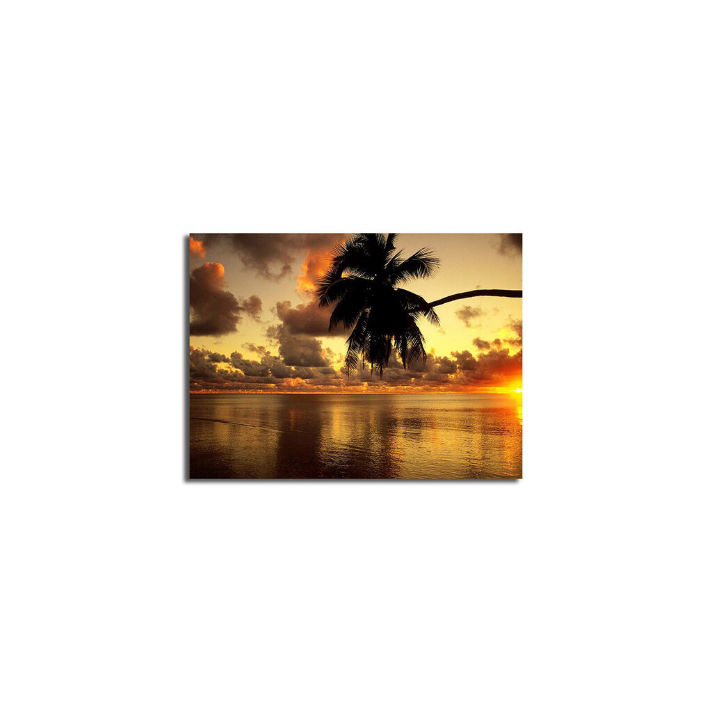 Reproduktsioon Palm, meri, päikeseloojang hind ja info | Seinapildid | kaup24.ee