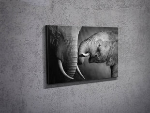 Репродукция Слонёнок с мамой цена и информация | Картины, живопись | kaup24.ee