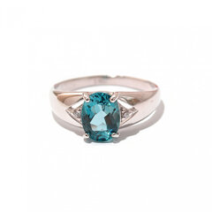 Серебряное кольцо SG92011504LBT цена и информация | Кольцо | kaup24.ee