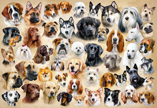 Pusle Castorland Puzzle Collage with Dogs, 1500-osaline цена и информация | Пазлы | kaup24.ee