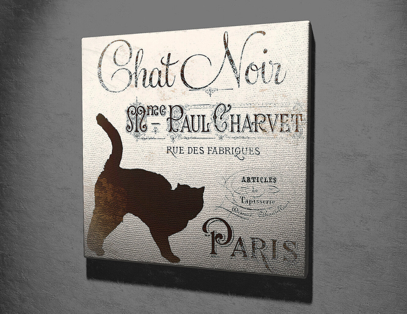 Reproduktsioon Chat Noir Paris цена и информация | Seinapildid | kaup24.ee