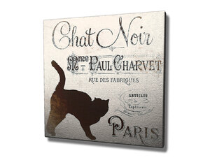 Reproduktsioon Chat Noir Paris hind ja info | Seinapildid | kaup24.ee