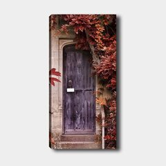 Репродукция Закрытые двери цена и информация | Картины, живопись | kaup24.ee