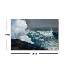 Reproduktsioon Northeaster (Winslow Homer) hind ja info | Seinapildid | kaup24.ee