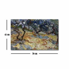 Reproduktsioon The Olive Groves (Vincent Van Gogh) hind ja info | Seinapildid | kaup24.ee