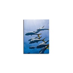 Reproduktsioon Delfiinid vee all hind ja info | Seinapildid | kaup24.ee