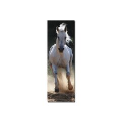 Reproduktsioon Valge hobune hind ja info | Seinapildid | kaup24.ee