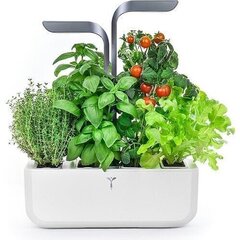 Nutikas koduaed Veritable® CONNECT Indoor Garden Infinity Grey цена и информация | Проращиватели, лампы для растений | kaup24.ee