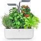 Nutikas koduaed Veritable® CONNECT Indoor Garden Infinity Grey hind ja info | Nutipotid ja taimelambid | kaup24.ee