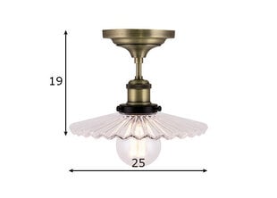 Потолочный светильник Cobbler, прозрачный цена и информация | Потолочные светильники | kaup24.ee