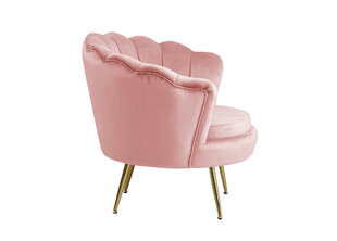 Кресло Tool, розовое цена и информация | Кресла в гостиную | kaup24.ee